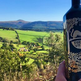 1 D960 F2 B 145 B 4 D7 F 8 CBA D2 E72 F90 E7 F4