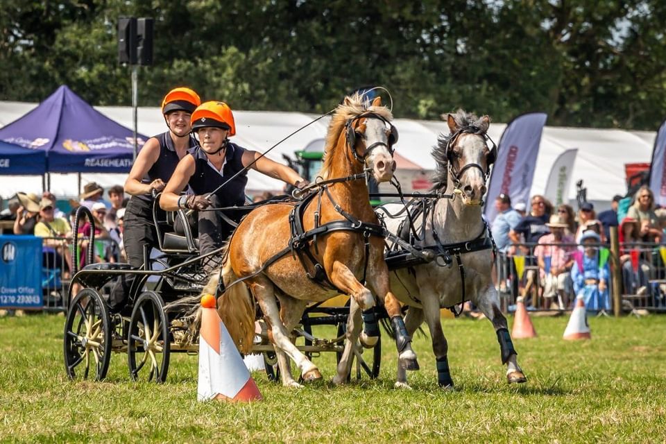 240731 Scurry Nantwich Show PR0653 1024x683