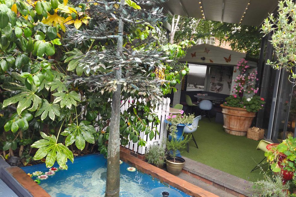 A388cc67 6914 405b 9000 8aae6498a7e8