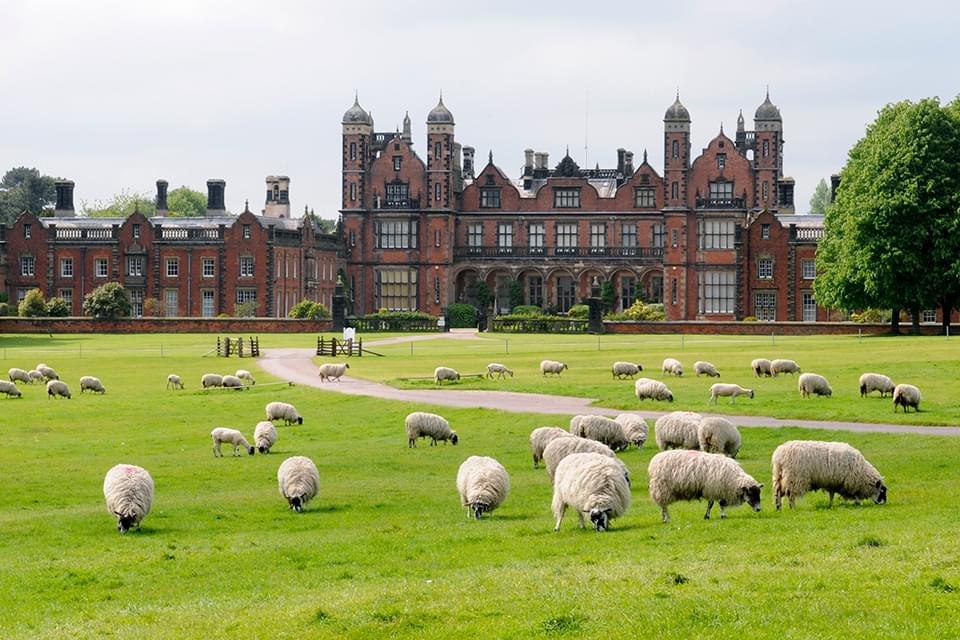 Capesthorne Camping 01