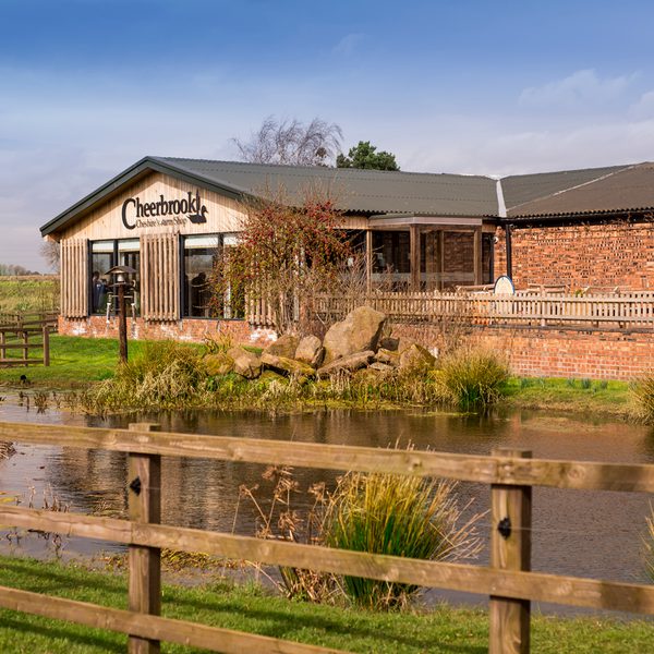 Cheerbrook 3 995387007