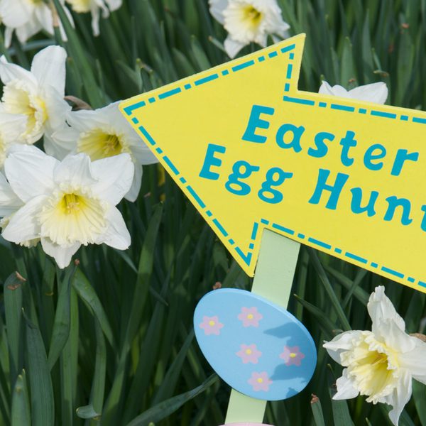 Chester Lunar Celebrations