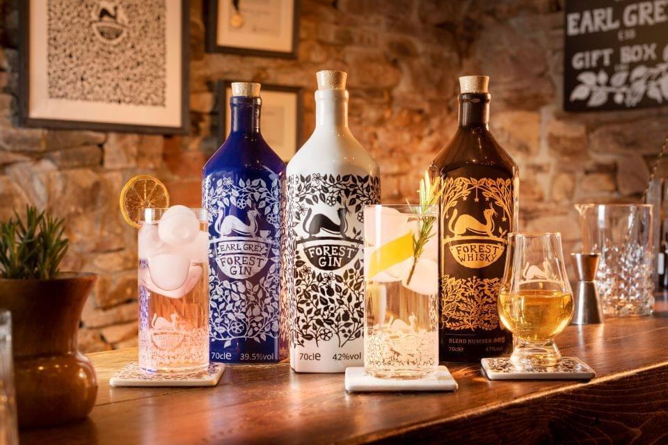 Forest Gin Range product shot