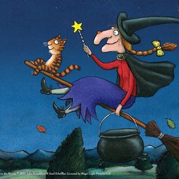 Imgi 11 Website 2000x833