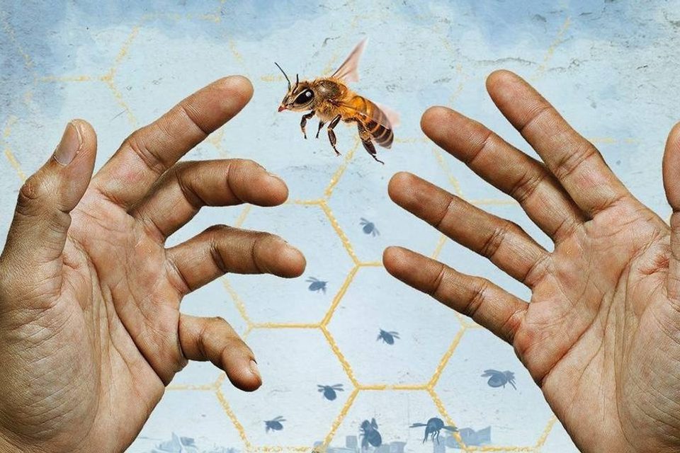 Imgi 190 Beekeeper Social Hands 1920x1080px1 aspect ratio 1500 600