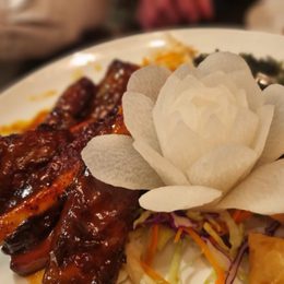 Imgi 63 chows header picture