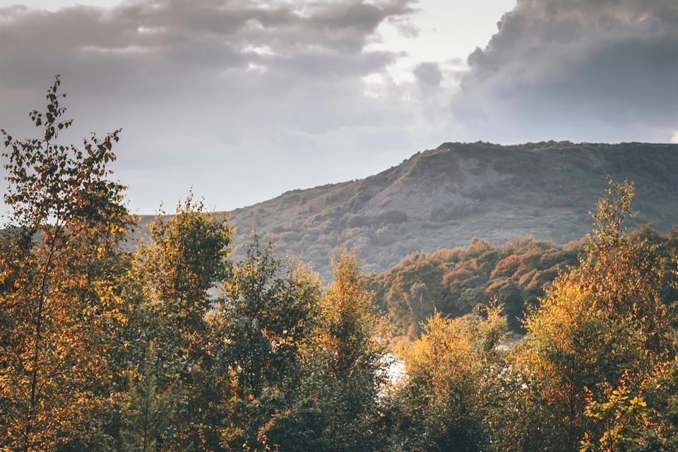Macc Forest Landscape 2 Credit Heathcote Photography