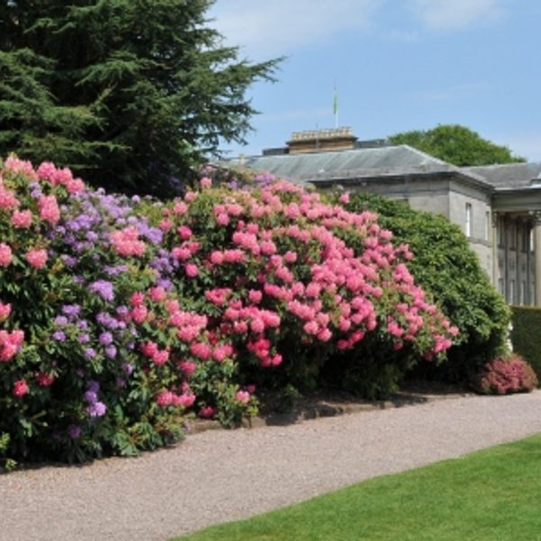 Mansion Spring Totally Tatton