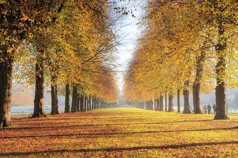 Marbury Country Park