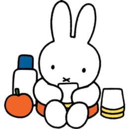 Miffy Picnic