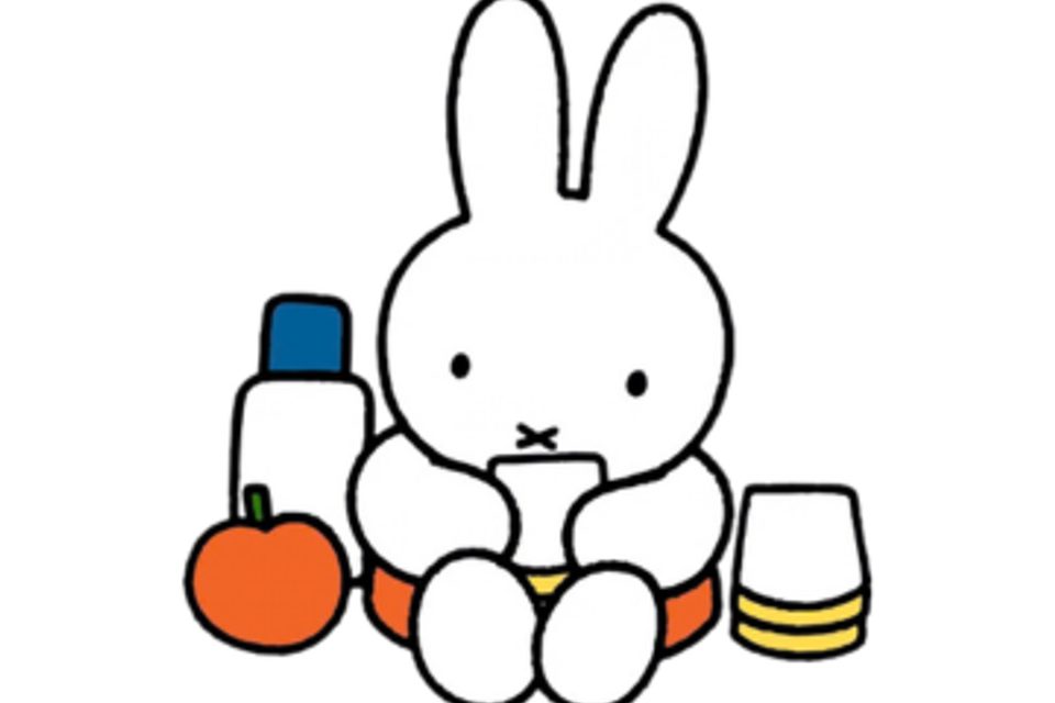 Miffy Picnic