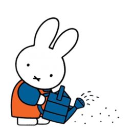 Miffy Watering