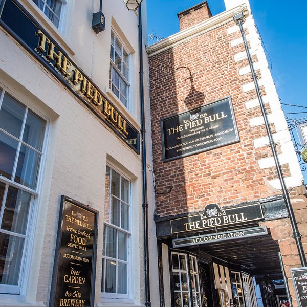 Pied Bull Front0007 378126584