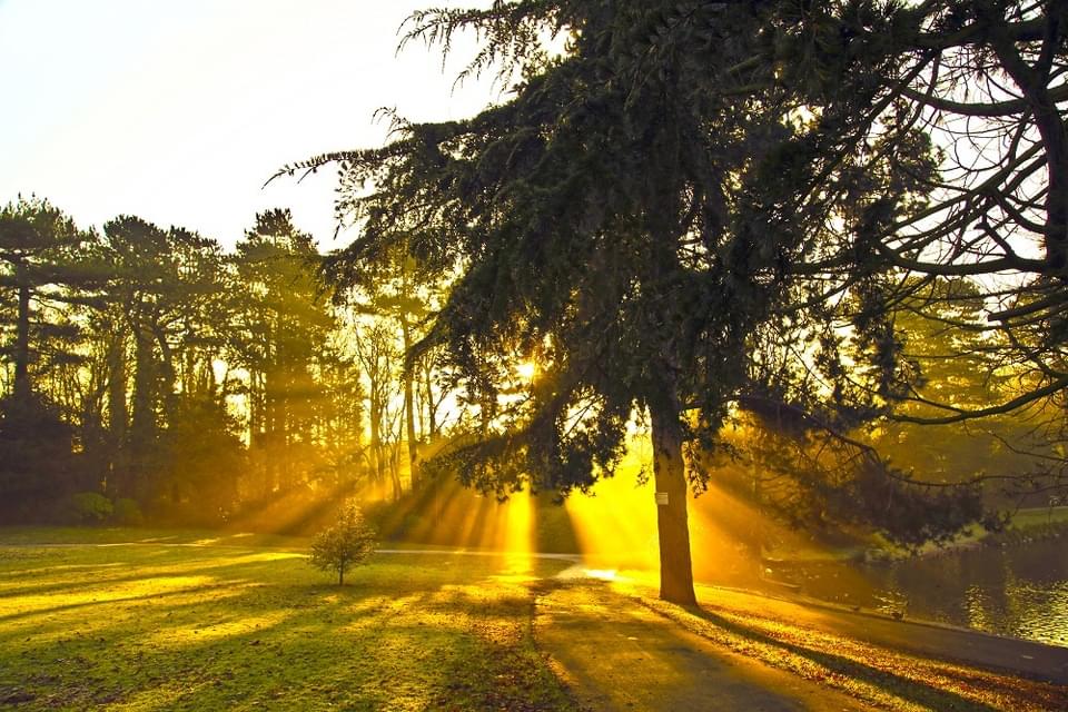 Queens Park Crewe 02