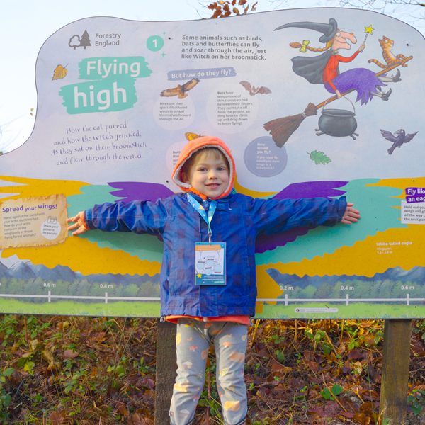 Room on the broom trail delamere