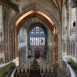 See and Do Experiences