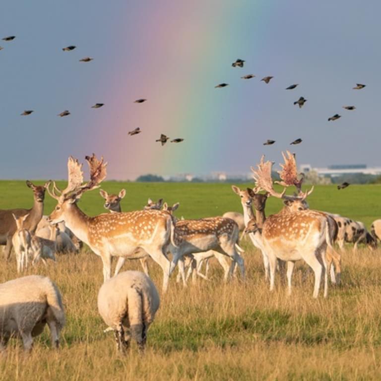 Tatton park winter banner 1920x750px