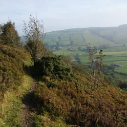 Teggs nose 1695893317