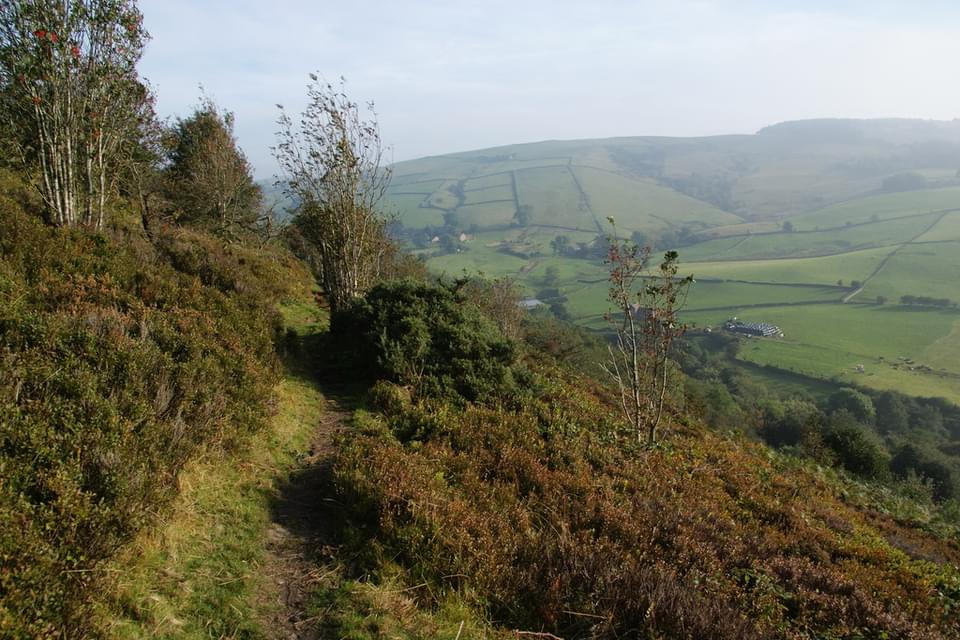 Teggs nose 1695893317