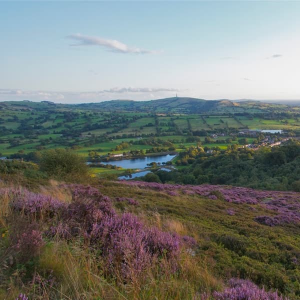 Teggsnose Heather View