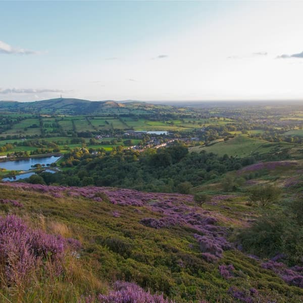 Teggsnose Heather View
