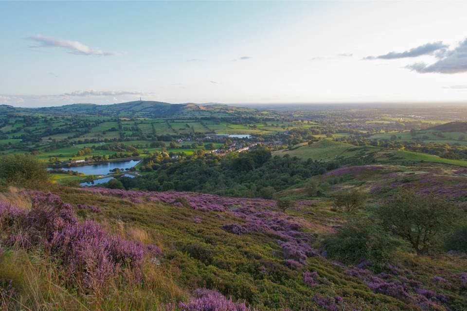 Teggsnose Heather View