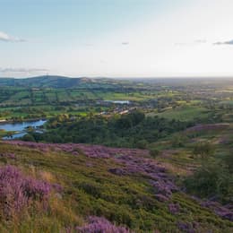 Teggsnose Heather View