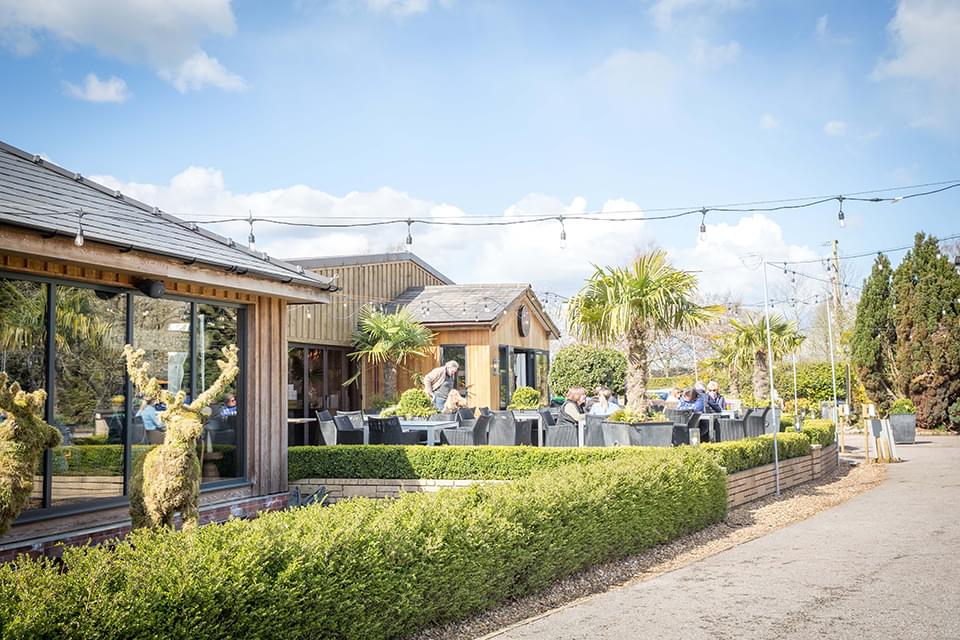 The Hollies Friesian 02