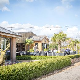 The Hollies Friesian 02