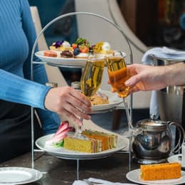 Untitled design 1 800x800