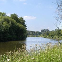 Weaverparkway WFA680 902101164